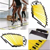 סולם זריזות 8 מטר claysport